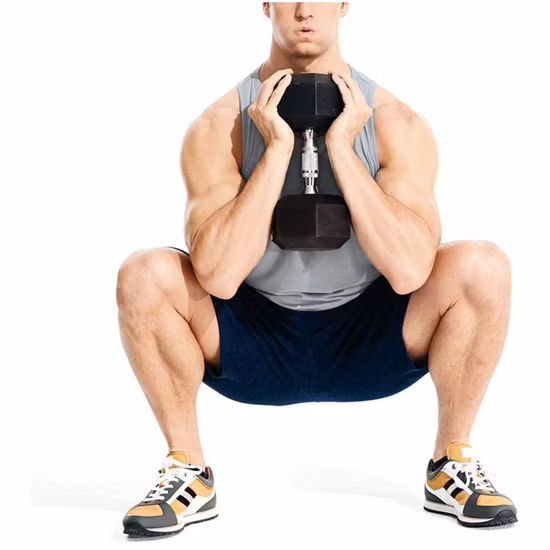 근육 토닝, 전신 운동, 홈 체육관용 고무 코팅 솔리드 스틸 캐스트 육각 웨이트 아령